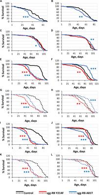 Modulated Expression of the Protein Kinase GSK3 in Motor and Dopaminergic Neurons Increases Female Lifespan in Drosophila melanogaster